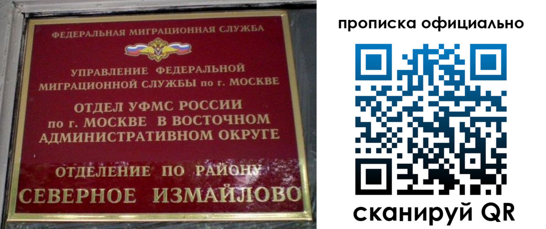 найти адрес прописки в Брянске